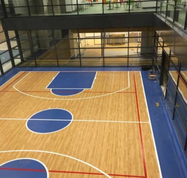 Kapalı Basketbol Sahası Yapımı PVC